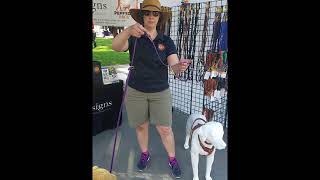 bld BASICS multi lead demonstration screenshot 4