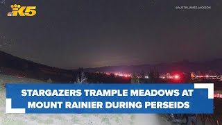 Meadows trampled as crowds flock to Mount Rainier National Park for Perseids