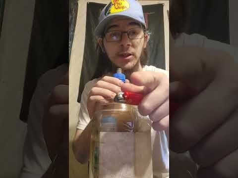 Strain Review: Specimen X