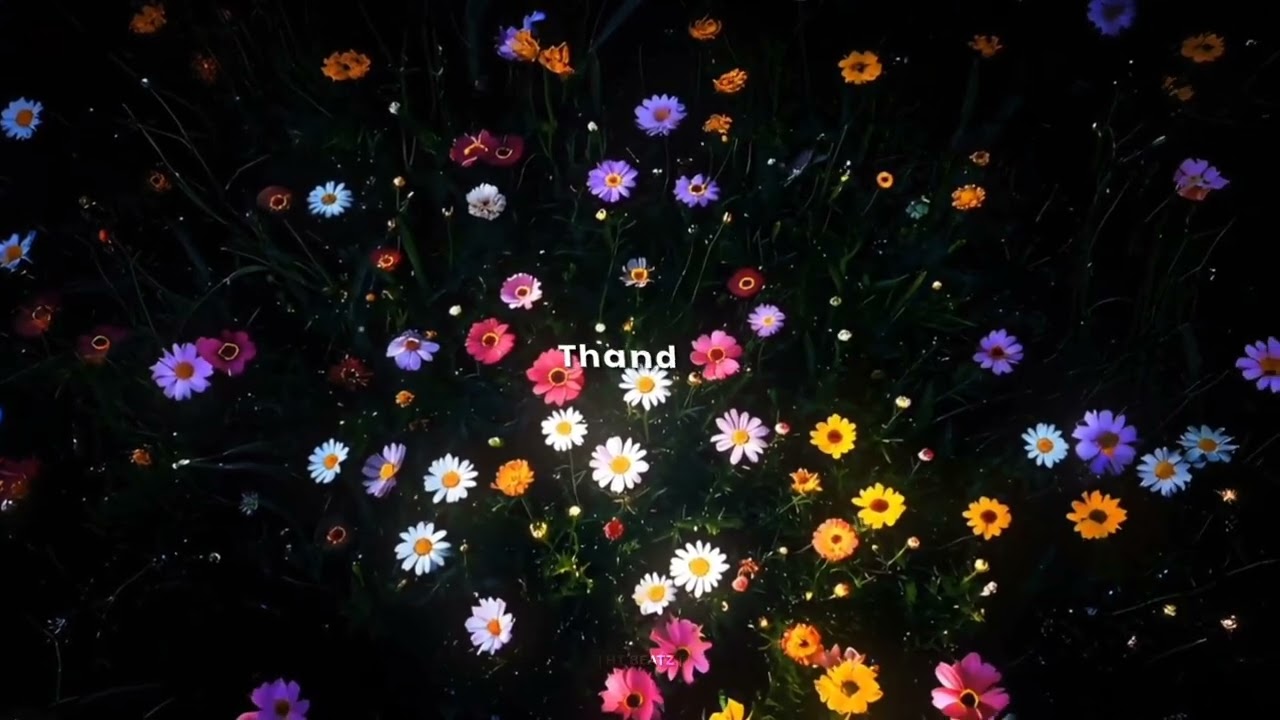 Nammura Mandhara Hoove 🌸✨ - Kannada Whatsapp Status || 