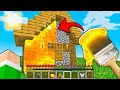 MINECRAFT MA PUOI DIPINGERE IL MONDO!