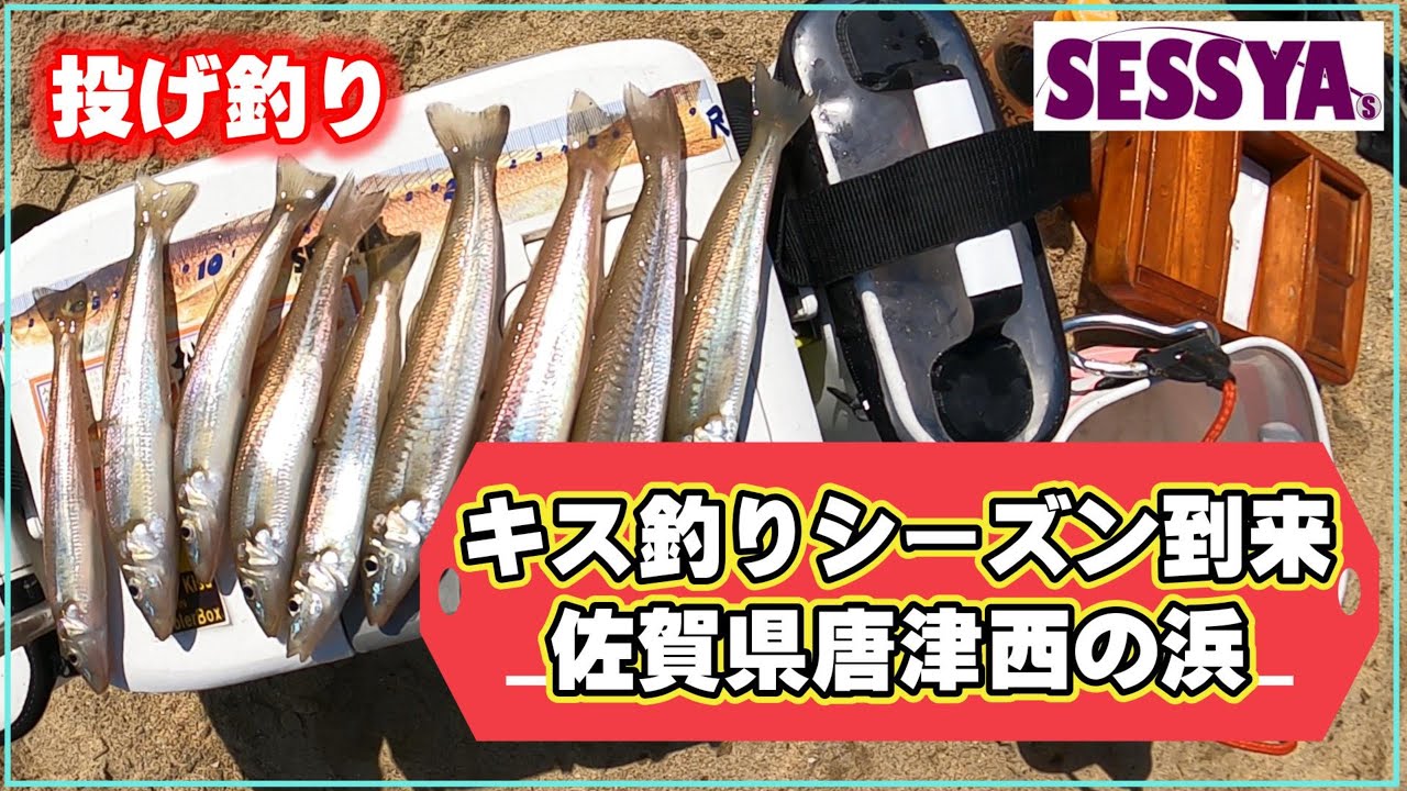【投げ釣り】キス釣りシーズン到来　佐賀県唐津西の浜