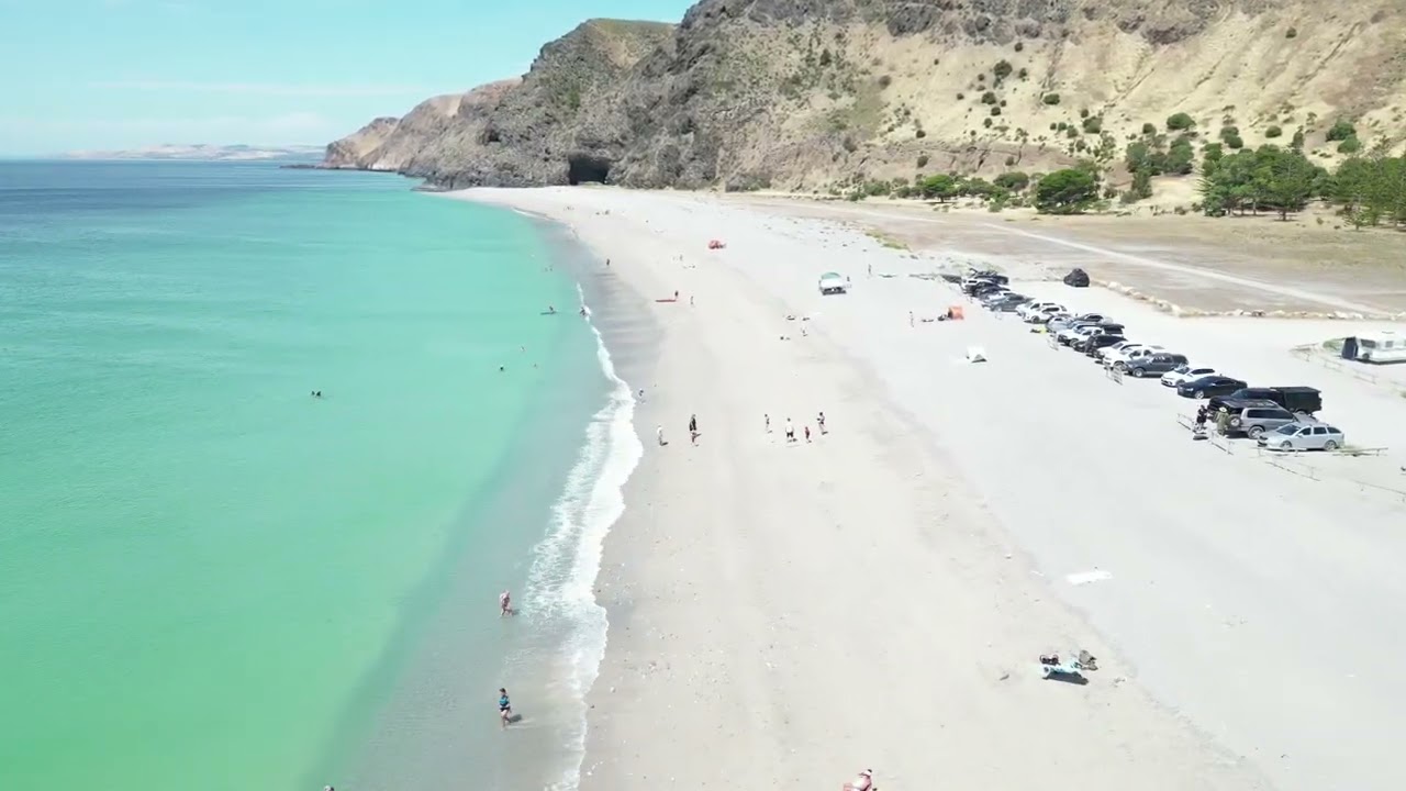 Rapid Bay & Koala Coast Retreat, SA - feed a donkey & horse carrots!