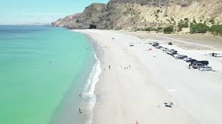 Rapid Bay & Koala Coast Retreat, Sa - Feed A Donkey & Horse Carrots