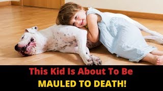 Why Do Dogs Bite Children? Parents, You Can Prevent Dog Attacks In Kids