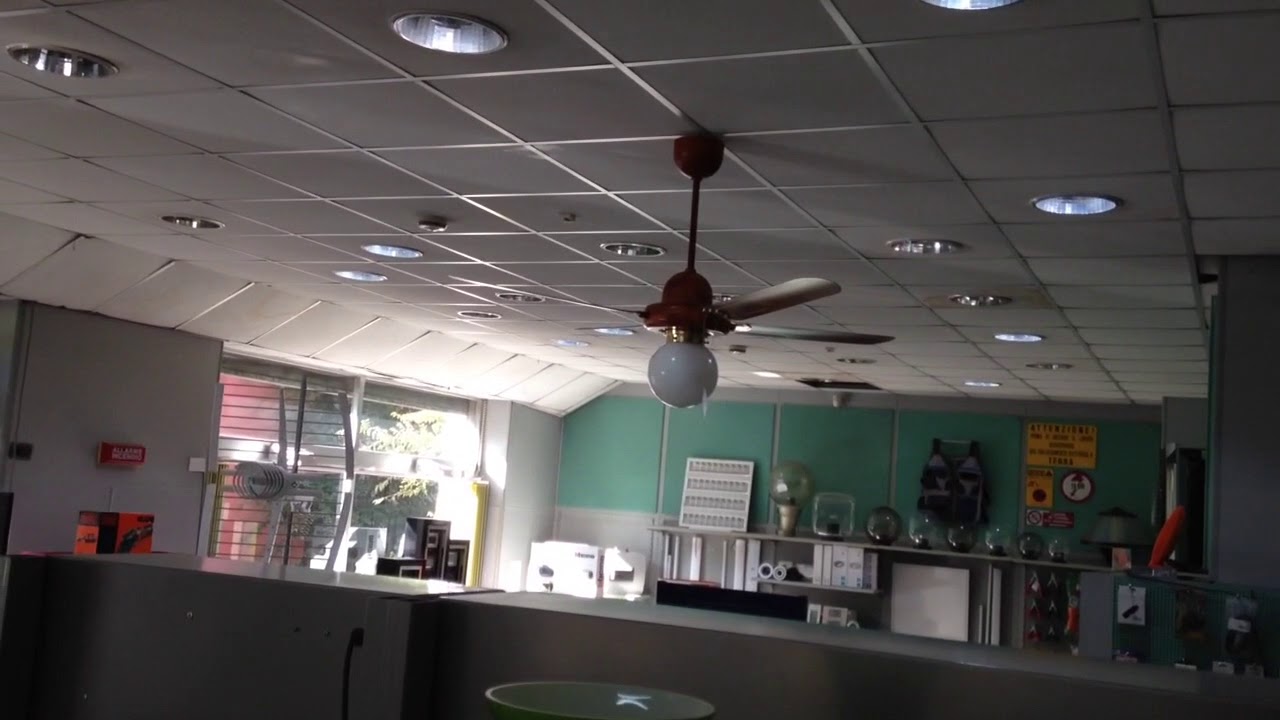Vortice Ceiling Fan And Bent Pedestal Stand Fan Youtube