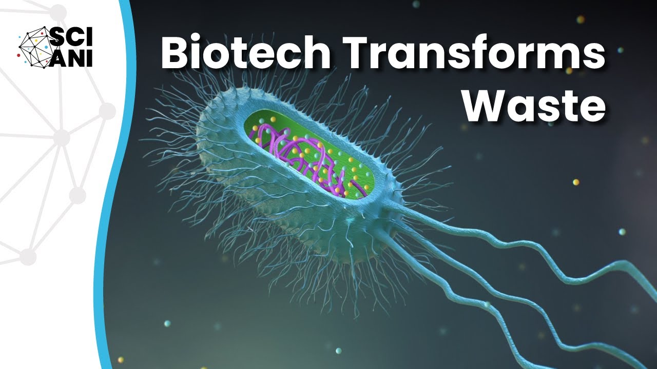 Is advanced biorefinery of waste the key to sustainability?