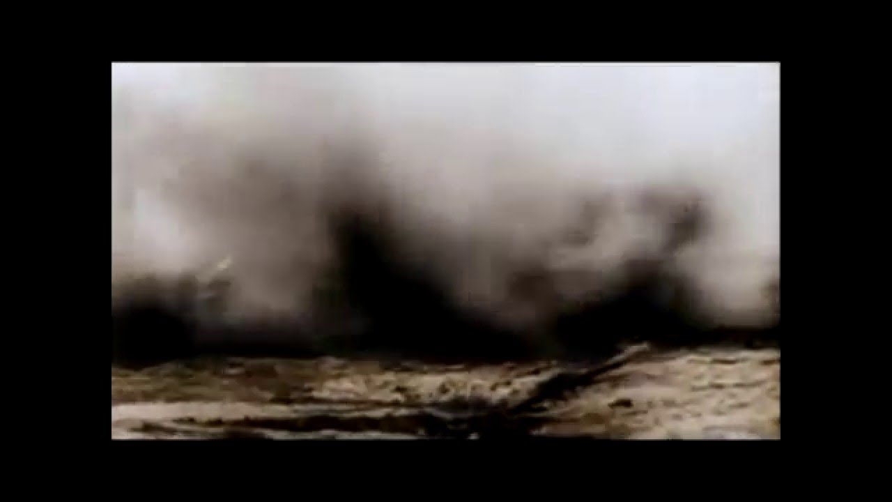 U.S. Military Tribute Video ~ (Shinedown - Diamond Eyes)