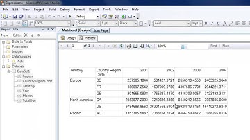 SSRS Tutorials: Lesson 9 - Creating Drilldown reports