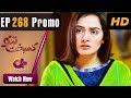 Watch Kambakht Tanno - Episode 268 Promo | Aplus ᴴᴰ Dramas | Tanvir Jamal, Sadaf Ashaan | Pakistani Drama Online In HD