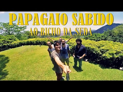 Vídeo: Bicho-da-seda Anelado