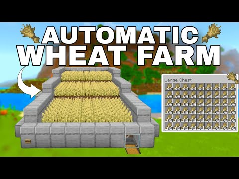 Automatic Wheat Farm In Minecraft Bedrock 1.21 Tutorial! - YouTube