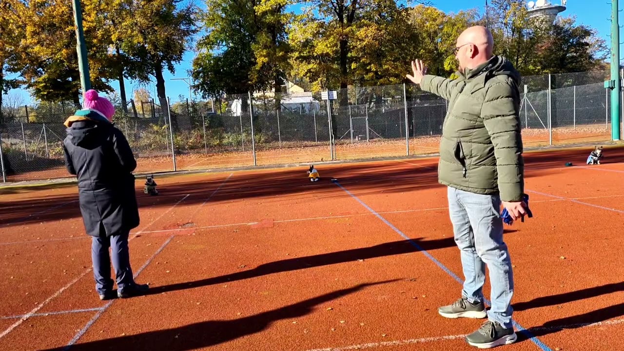 Hundeschule 13.11.2022