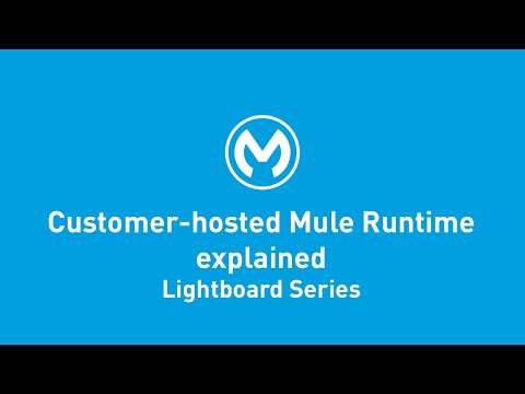 Vídeo: Què és logger a Mulesoft?