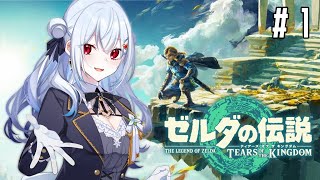 【 ゼルダの伝説 ティアーズ オブ ザ キングダム 】#１ お散歩ゼルダ再び？！新作を最速でやっていきます！【にじさんじ/葉加瀬冬雪】