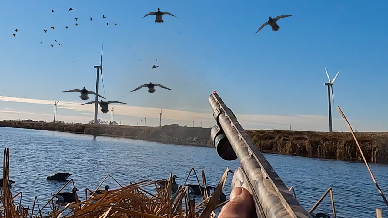 Ducks Geese MORE North Dakota Duck Hunting YouTube ducks-geese-more-north-dakota-duck-hunting-youtube