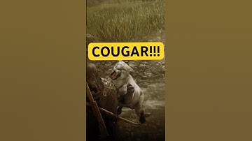 This Random Encounter Almost Got Me KILLED in RDR2