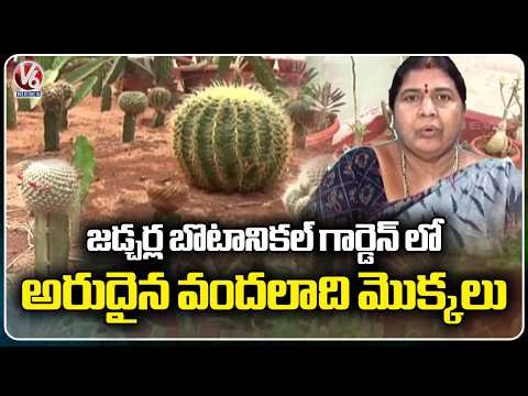 Hundreds of Rare Plants Thriving at Jadcherla Botanical Garden in Mahbubnagar | V6 News - V6NEWSTELUGU