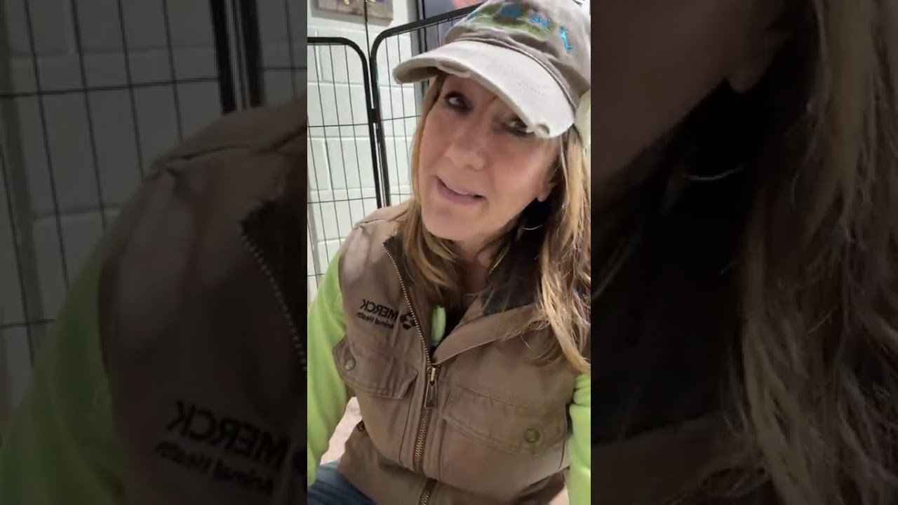 Freezing Nights & Rescue Reality: Mocha and Agnes Need Us 