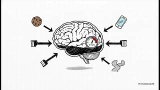 Learning with Bert 3 - Beyond Willpower