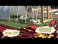 Easy DIY Chicken Tractors