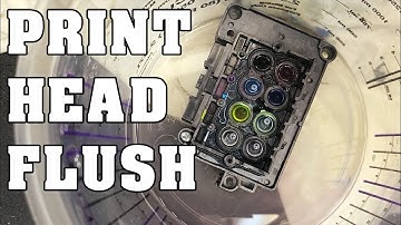 PRINT HEAD FLUSH - WATERFALL - REVERSE FLUSH - DTG / EPSON PRINTERS