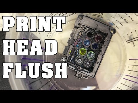 वीडियो: प्रिंटर हेड को कैसे फ्लश करें