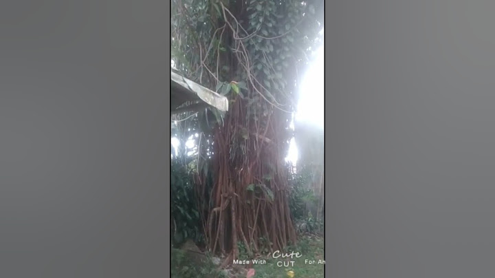 MAKOM KERAMAT EYANG RANGGA GADING #shorts