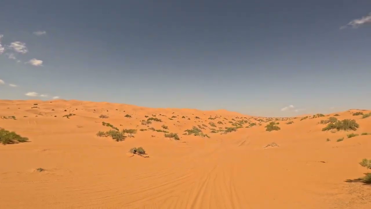 Breathtaking View of the Sahara Desert 🏜️ 🌵 | Vast Dunes and Golden Sands | Merzouga |Part 44|🇲🇦