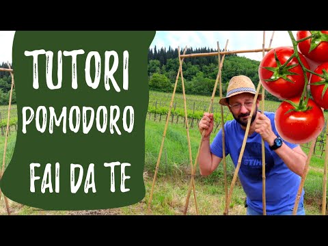 Video: Come legare i pomodori in serra: opzioni e metodi per legare, infissi e materiali