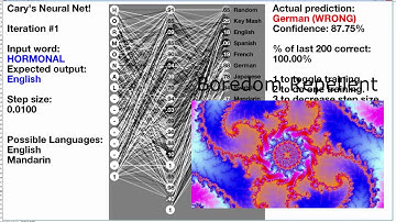 Predicting Languages with Recurrent Neural Networks