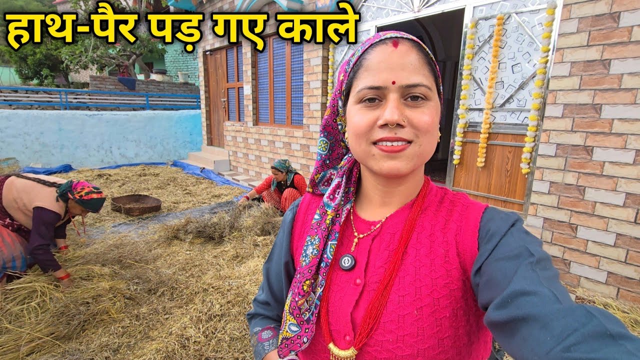 पहाड़ों में ऐसे निकालते हैं ऑर्गेनिक सरसों ||Pahadi Lifestyle Vlog || Priyanka Yogi Tiwari ||