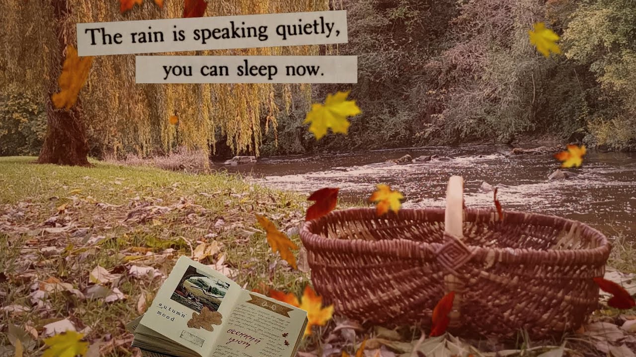 Escapade dans le Nord Ouest 🌳🐿️