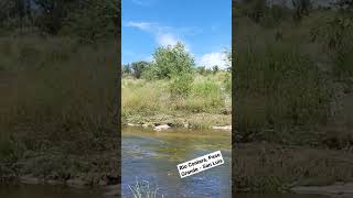 Rio Conlara - San Luis