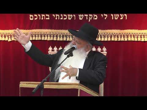 לאן האופנה לוקחת אותנו | קצרים | הרב דניאל זר