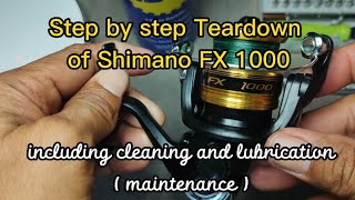 Shimano FX 1000 Detailed Teardown | Assembly and Disassembly | Plus Cleaning and Lubrication