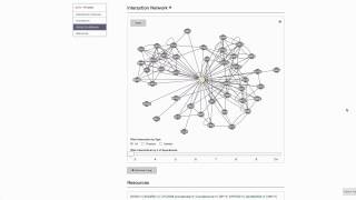 SGD Help: Interaction Network Net Worth