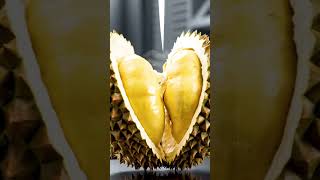 This Fruit Turns Into Custard? #Shorts #Durian #Factory #FoodProcessing #Process #ASMR