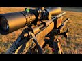22 creedmoor  sub moa hornady factory ammo testing coyotes hunting 224 22creedmoor 22cm