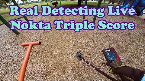 Real Detecting Live Nokta Triple Score #riphulkhogan #ripozzyosbourne