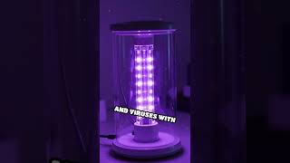 Would You Trust This to Purify Dirty Water #Challenge #Survival