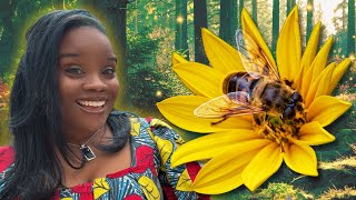 How Do Bees Make Honey? Bee Life For Kids Preschool Science Spring Preschool Learning Video