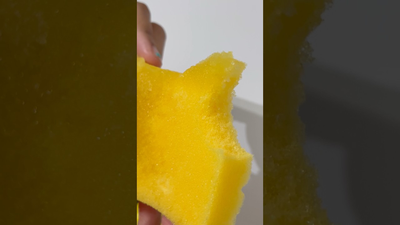 I ate a FROZEN SPONGE !?! 🫢 
