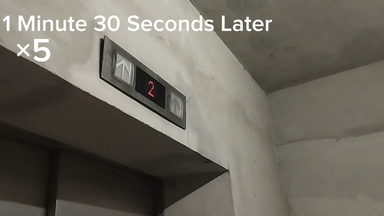 Almost Stuck in the Basement Floor/Storage Room