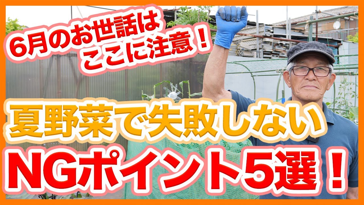 家庭菜園や農園の夏野菜栽培で6月はここに注意！失敗しない夏野菜の