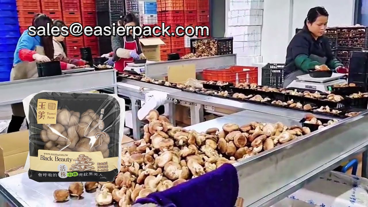 Fresh Agaricus blazei Murill Tray Packaging Machine price