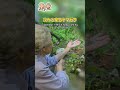 【敬老の日】94歳ばあちゃんの手から…！8年待った奇跡の瞬間に感動が止まりません。＃shorts