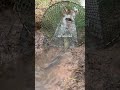 fishing  #fish #fishingvideo #fishinglife #fish
