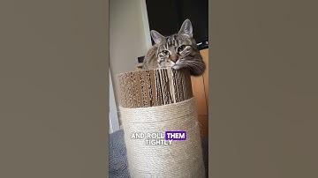 😺 Transform Your Home with a DIY Cat Scratching Post! 🐾 #lifehacks #shorts