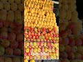 Fairu bhai Tumkur kesar 👌👌mango top quality